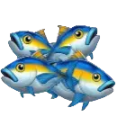 Fish Money symbol